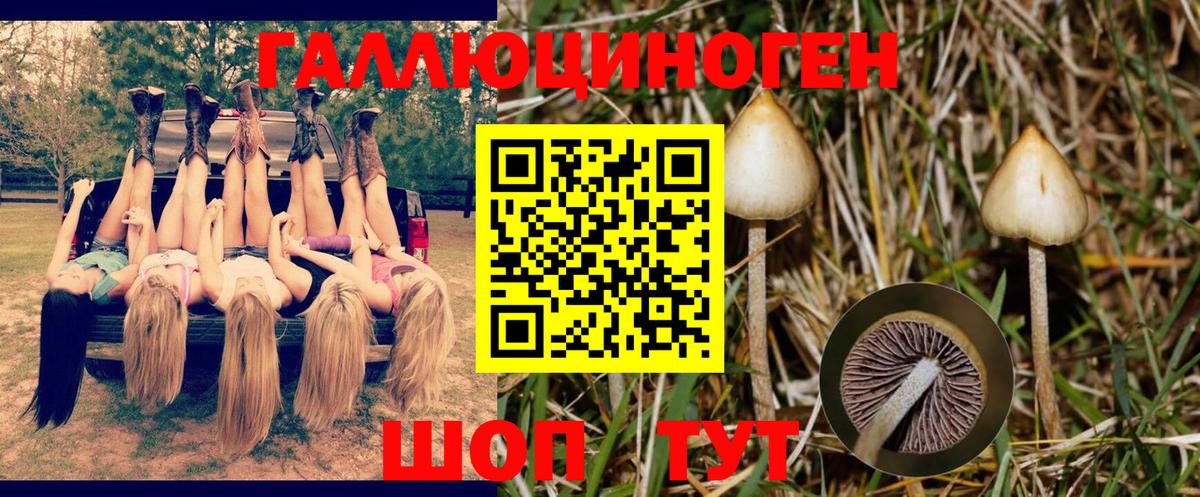 Галлюциногенные грибы прущие грибы Городец