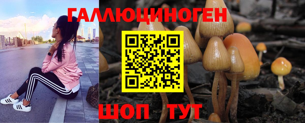 Псилоцибиновые грибы MAGIC MUSHROOMS  Вход с VPN  Городец 